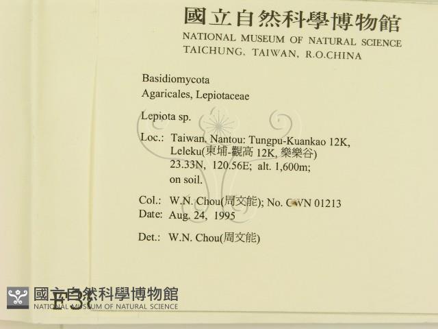 登錄號:F0003823藏品圖，第2張