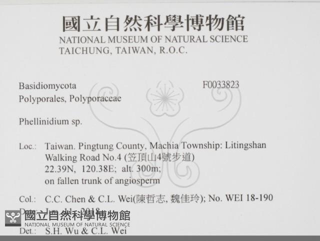 登錄號:F0033823藏品圖，第2張