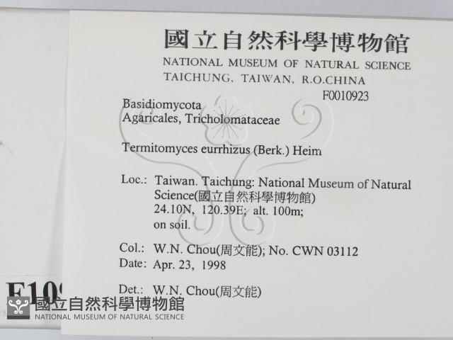 登錄號:F0010923藏品圖，第2張