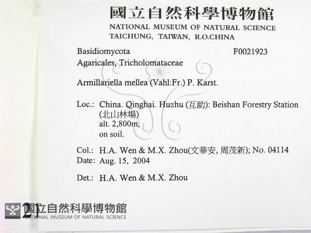 登錄號:F0021923藏品圖，第2張