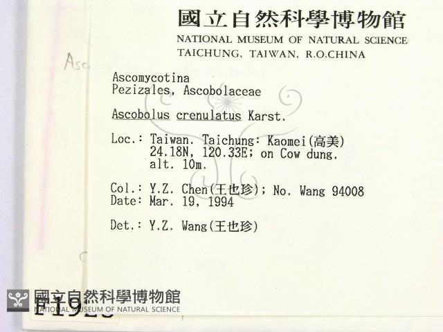 登錄號:F0001923藏品圖，第2張