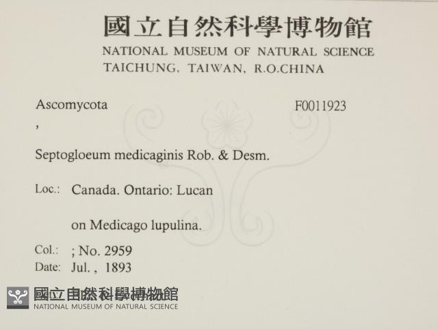 登錄號:F0011923藏品圖，第2張