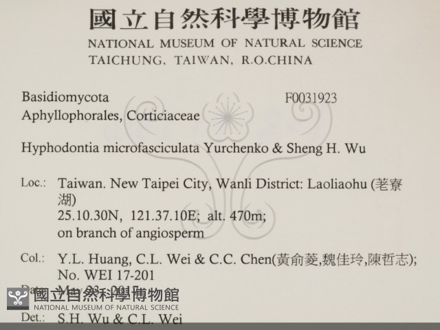 登錄號:F0031923藏品圖，第2張