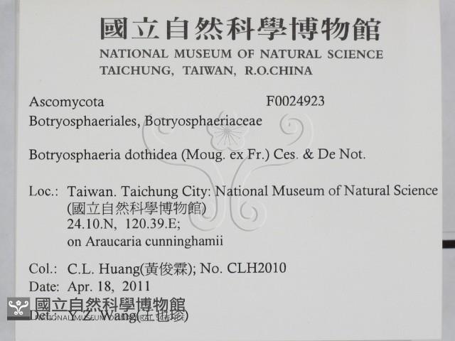 登錄號:F0024923藏品圖，第2張