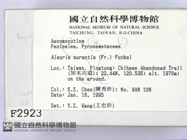 登錄號:F0002923藏品圖，第2張