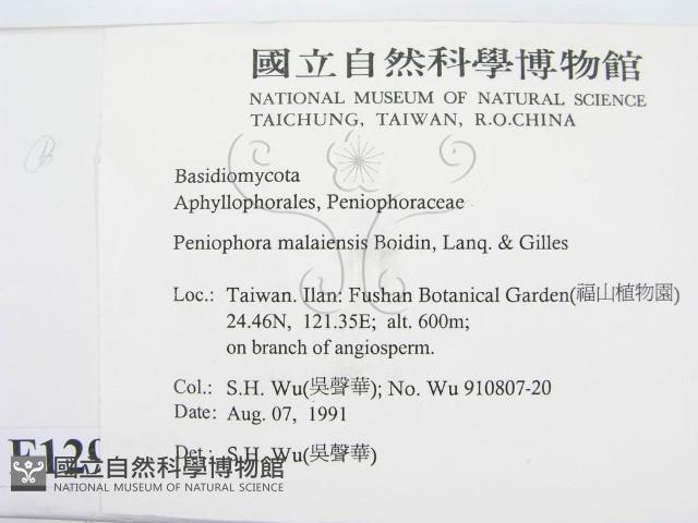登錄號:F0012923藏品圖，第2張