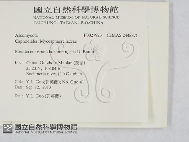 登錄號:F0027923藏品圖，第2張