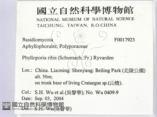 登錄號:F0017923藏品圖，第2張