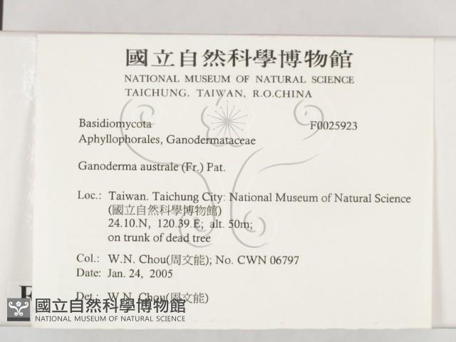 登錄號:F0025923藏品圖，第2張