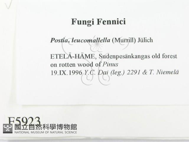 登錄號:F0005923藏品圖，第2張