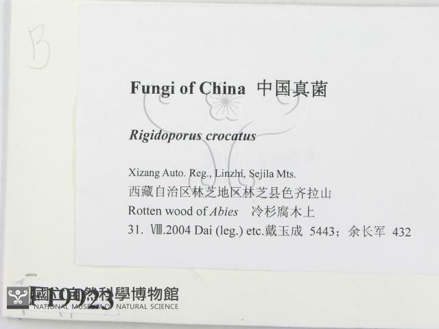 登錄號:F0019923藏品圖，第2張