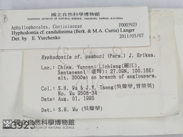 登錄號:F0003923藏品圖，第2張