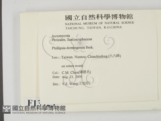 登錄號:F0013923藏品圖，第2張