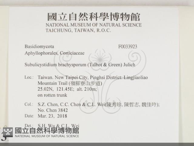 登錄號:F0033923藏品圖，第2張