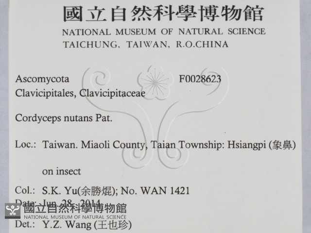 登錄號:F0028623藏品圖，第2張