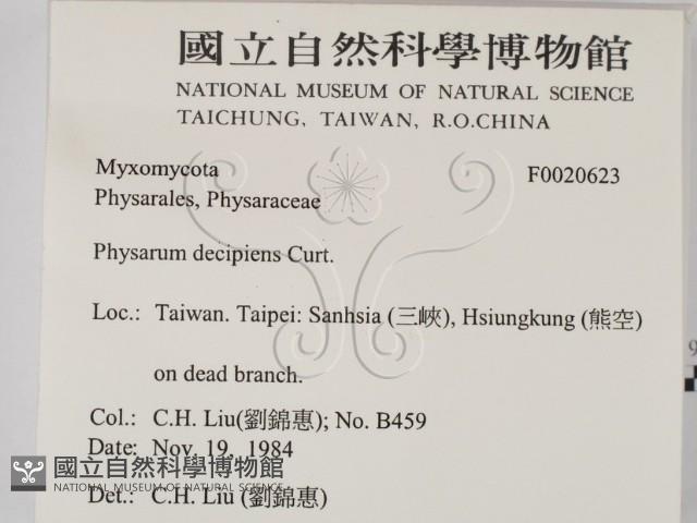 登錄號:F0020623藏品圖，第2張