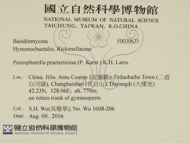 登錄號:F0030623藏品圖，第2張