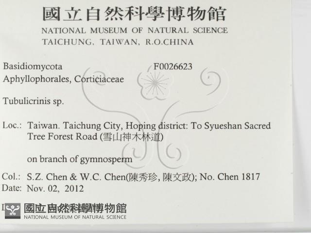 登錄號:F0026623藏品圖，第2張