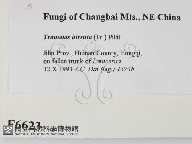 登錄號:F0006623藏品圖，第2張