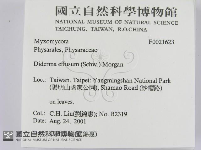 登錄號:F0021623藏品圖，第2張