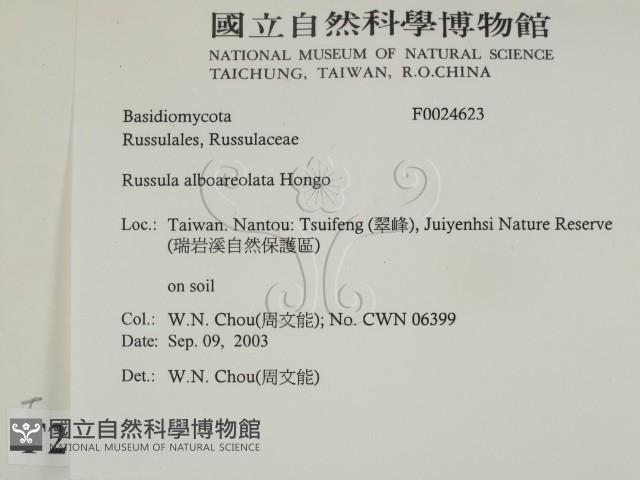 登錄號:F0024623藏品圖，第2張