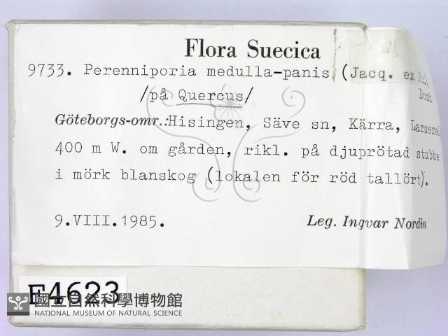 登錄號:F0004623藏品圖，第2張