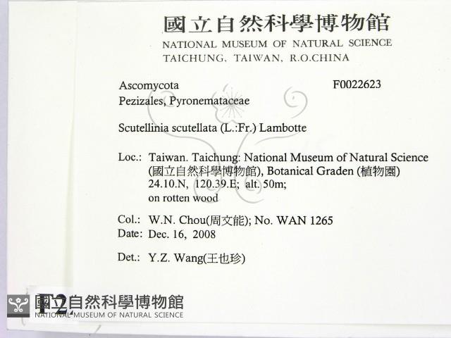 登錄號:F0022623藏品圖，第2張