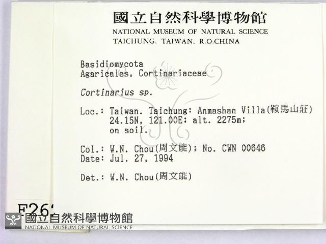 登錄號:F0002623藏品圖，第2張