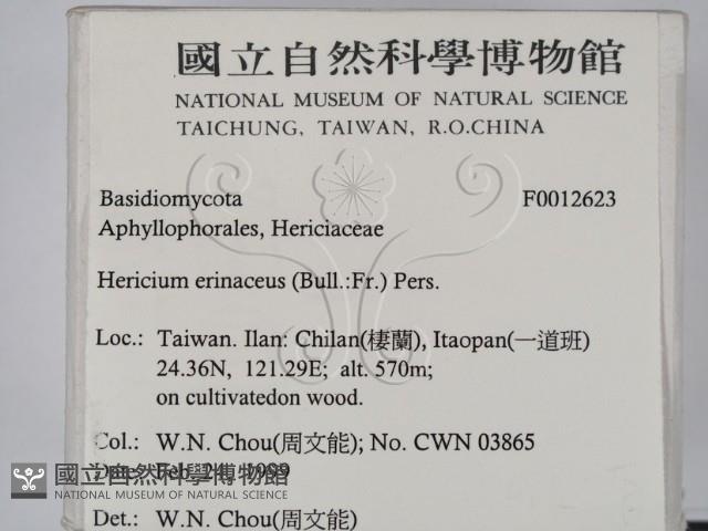 登錄號:F0012623藏品圖，第2張