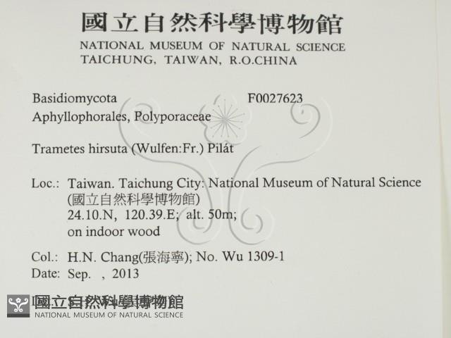 登錄號:F0027623藏品圖，第2張