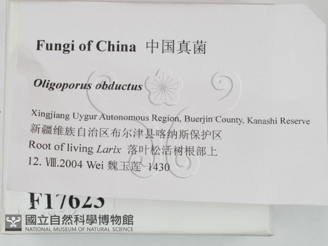 登錄號:F0017623藏品圖，第2張