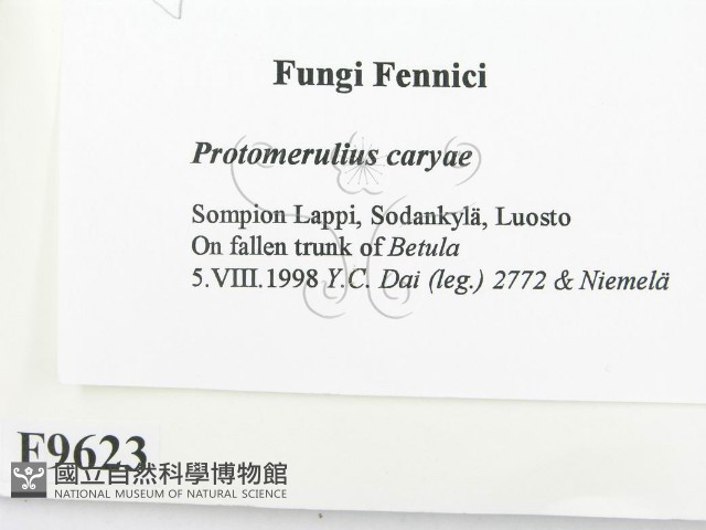 登錄號:F0009623藏品圖，第2張