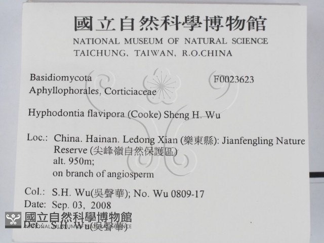 登錄號:F0023623藏品圖，第2張