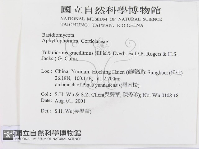 登錄號:F0013623藏品圖，第2張