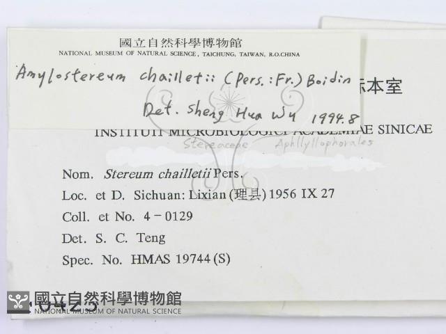 登錄號:F0000423藏品圖，第2張