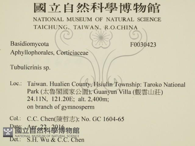 登錄號:F0030423藏品圖，第2張