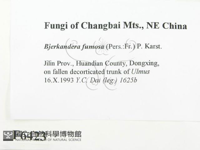 登錄號:F0006423藏品圖，第2張