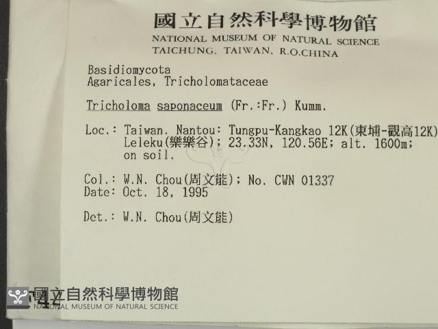 登錄號:F0004423藏品圖，第2張