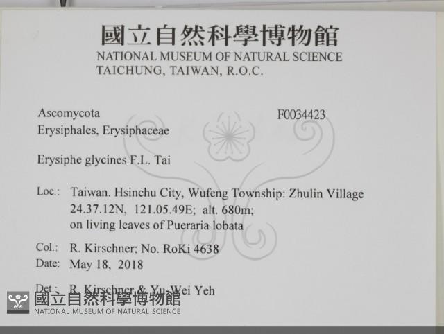登錄號:F0034423藏品圖，第2張