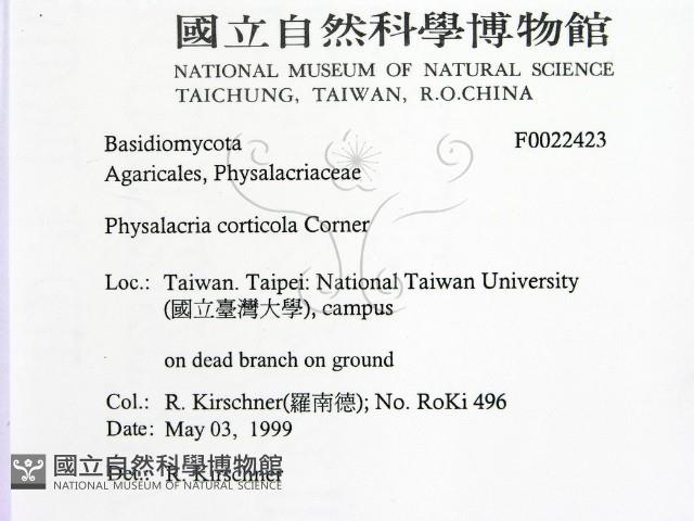 登錄號:F0022423藏品圖，第2張