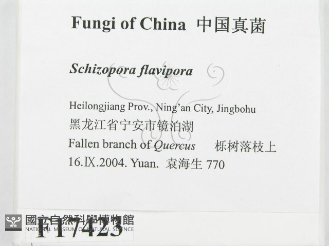 登錄號:F0017423藏品圖，第2張