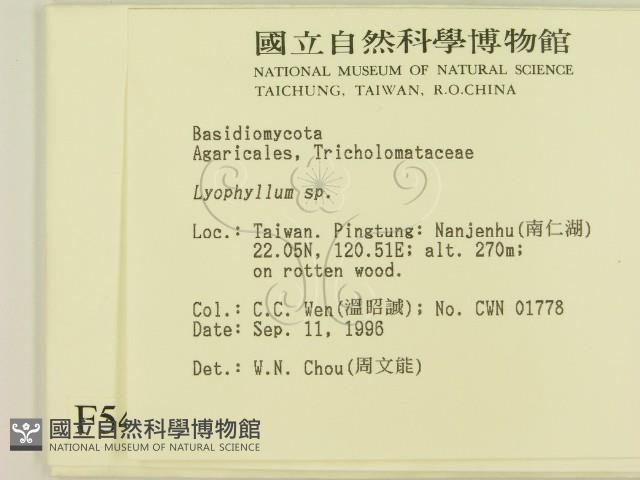 登錄號:F0005423藏品圖，第2張