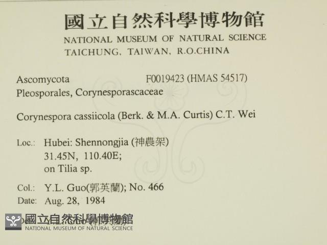 登錄號:F0019423藏品圖，第2張