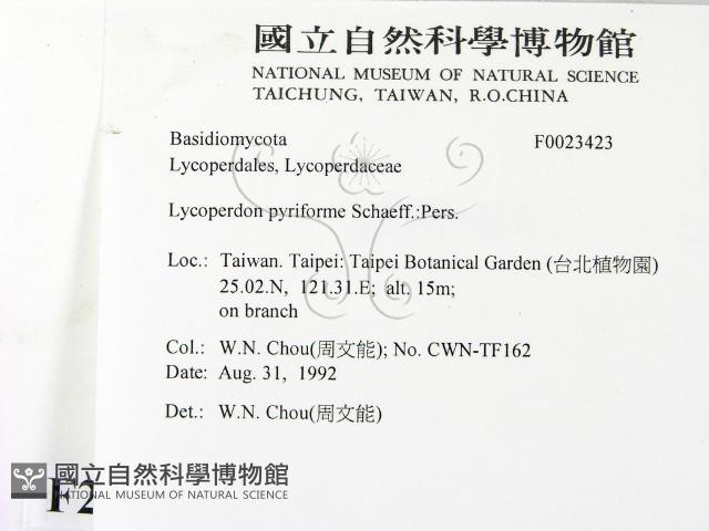 登錄號:F0023423藏品圖，第2張