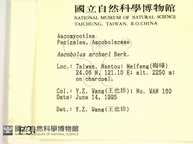 登錄號:F0003423藏品圖，第2張