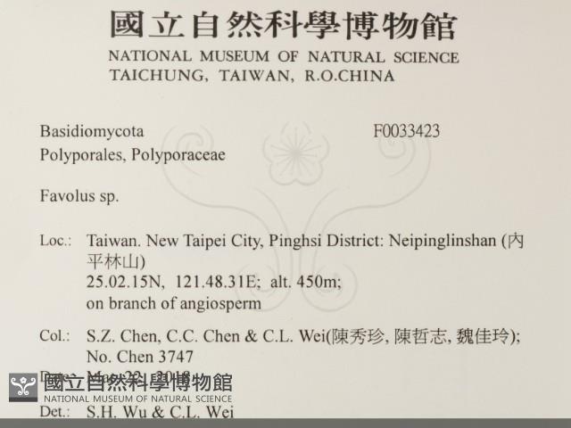 登錄號:F0033423藏品圖，第2張