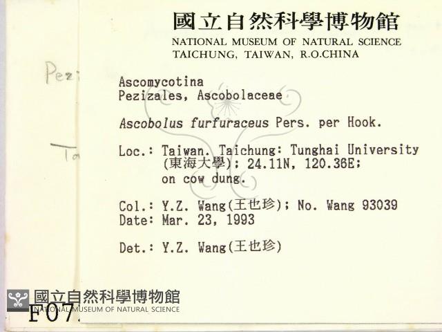 登錄號:F0000723藏品圖，第2張