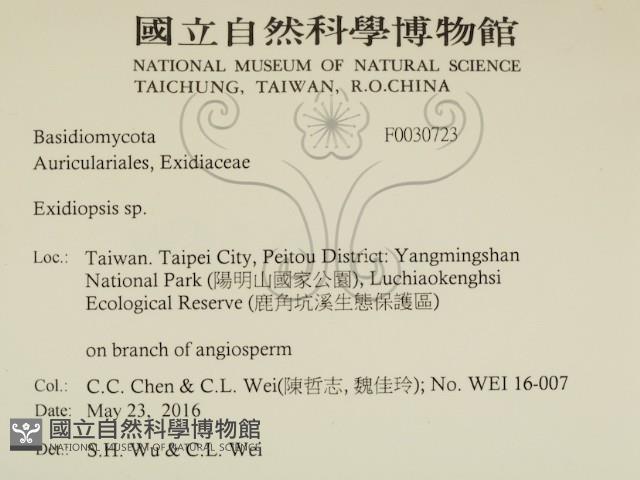 登錄號:F0030723藏品圖，第2張