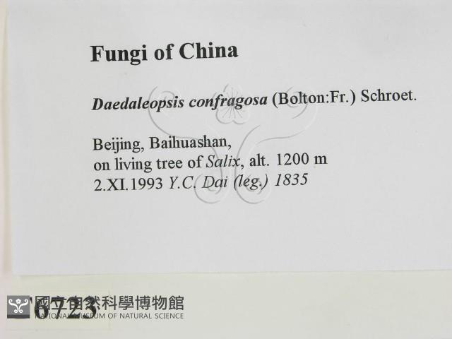登錄號:F0006723藏品圖，第2張
