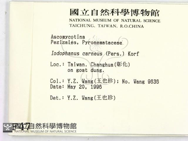登錄號:F0004723藏品圖，第2張